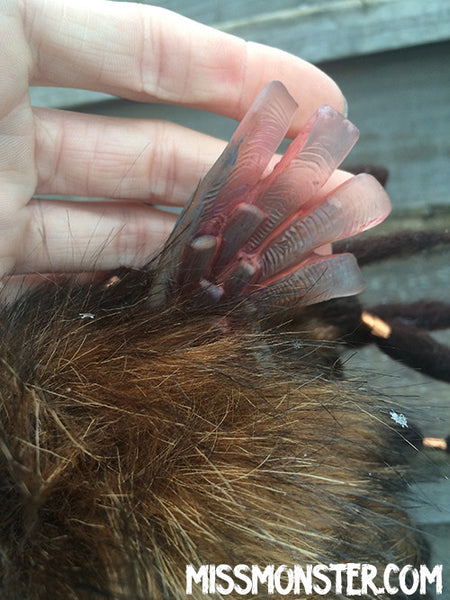 BELAUD THE MONSTER- OOAK HANDMADE DOLL