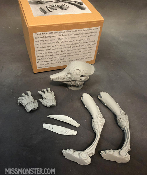 ANUBOT 1/6 BLANK CUSTOM FIGURE KIT