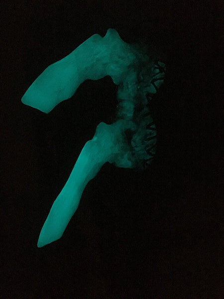 WASTELAND BONE HARNESS ARMOR