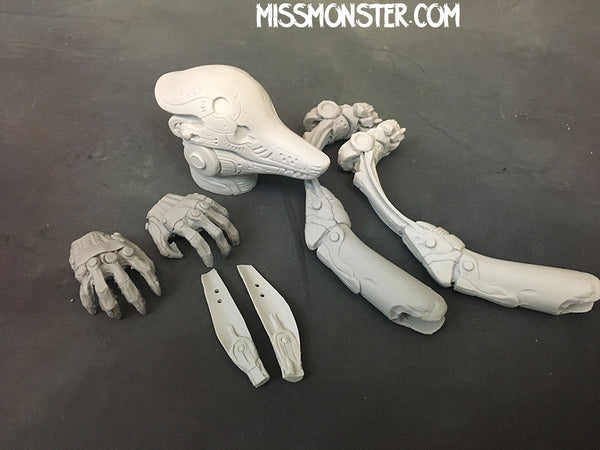 ANUBOT 1/6 BLANK CUSTOM FIGURE KIT