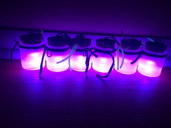 GLOW IN THE DARK, LIGHT UP JAR- PURPLE