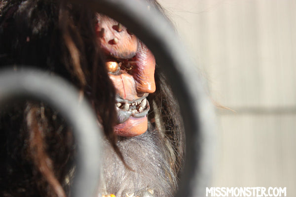 ALMACH THE MANTICORE- OOAK ORIGINAL HANDMADE DOLL