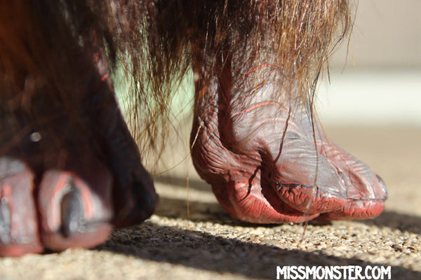 ALMACH THE MANTICORE- OOAK ORIGINAL HANDMADE DOLL