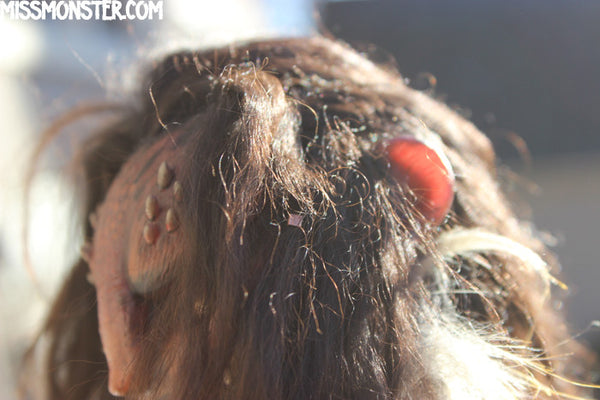 ALMACH THE MANTICORE- OOAK ORIGINAL HANDMADE DOLL