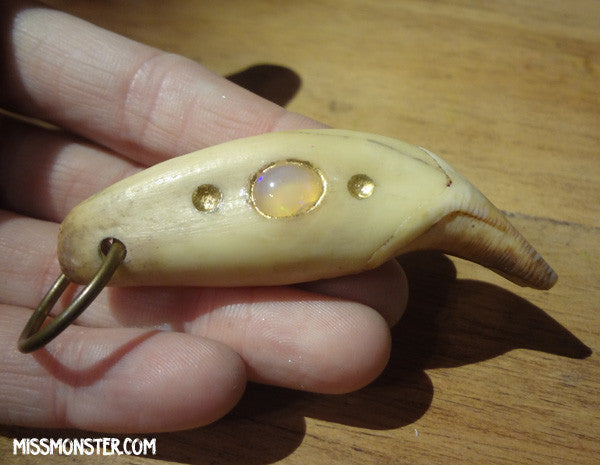 ANTIQUE BEAR TOOTH + OPAL PENDANT