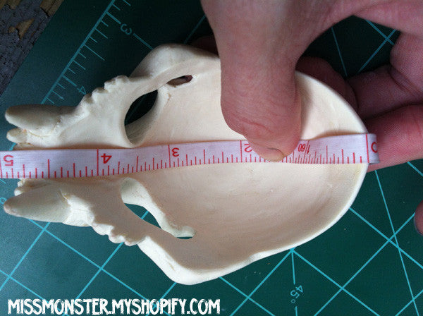 BJD SABERTOOTH SKULL MASK- BONE OR GOLD RED