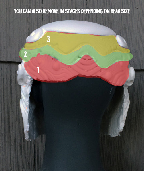 BIOMECH SERAPHIM HELMET AND EARS- BLANK KIT