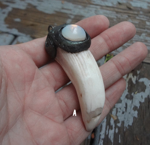 BOAR TUSK OOAK PENDANT