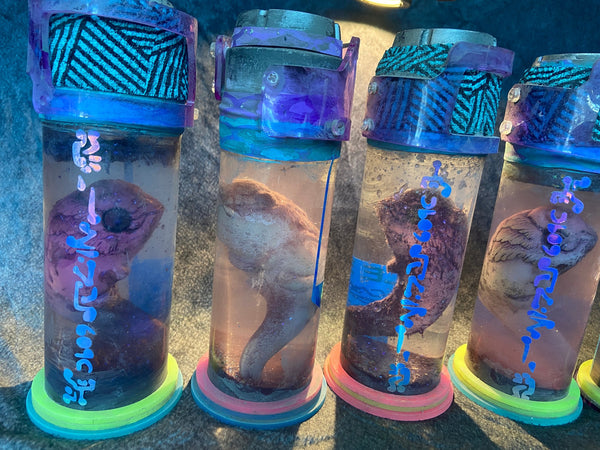 SQUIP SPAWN SPECIMEN GLITTER BOTTLES