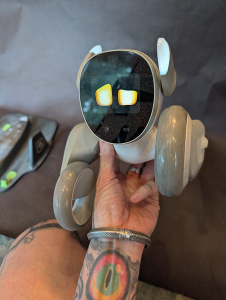 LOONA ROBOT WITH DOCK USED