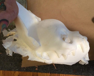 MISCAST CAT- custom listing