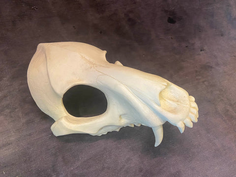 PATREON- NOT MY WORK- BUESHANG CREATIONS WOLF MASK BLANK