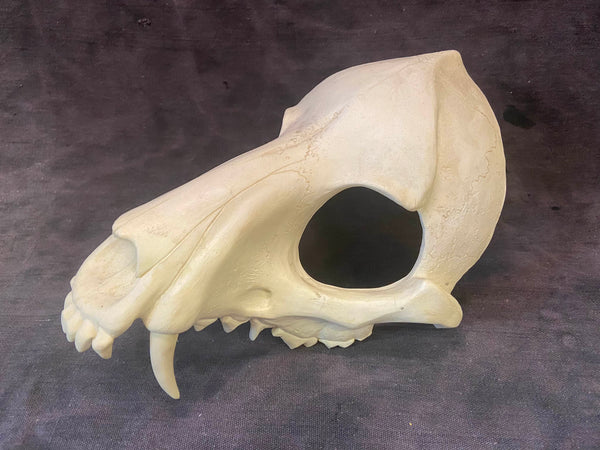 PATREON- NOT MY WORK- BUESHANG CREATIONS WOLF MASK BLANK