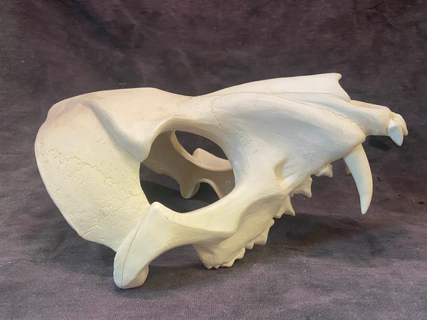 PATREON- NOT MY WORK- BUESHANG CREATIONS WOLF MASK BLANK