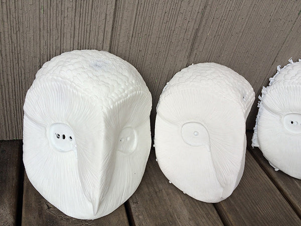 OWL MASK MISCASTS