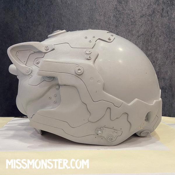 MICHELLE ONLY!! SHITTY KITTY HELMET BLANK