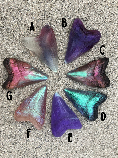 PATREON- MEGALODON SHARK TEETH