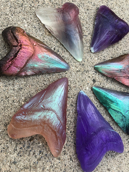 PATREON- MEGALODON SHARK TEETH