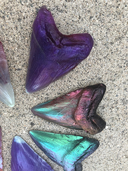 PATREON- MEGALODON SHARK TEETH