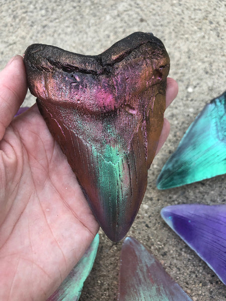 PATREON- MEGALODON SHARK TEETH