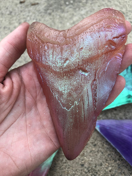 PATREON- MEGALODON SHARK TEETH