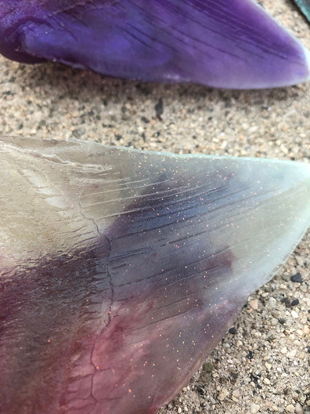 PATREON- MEGALODON SHARK TEETH