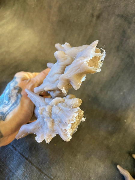 MISCAST PATREON DRYAD HORN PAIR