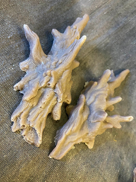 MISCAST PATREON DRYAD HORN PAIR