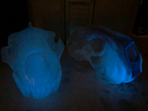 PATREON- SPIRIT HOUSE CRYSTAL SKULL