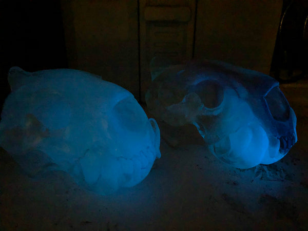 PATREON- SPIRIT HOUSE CRYSTAL SKULL