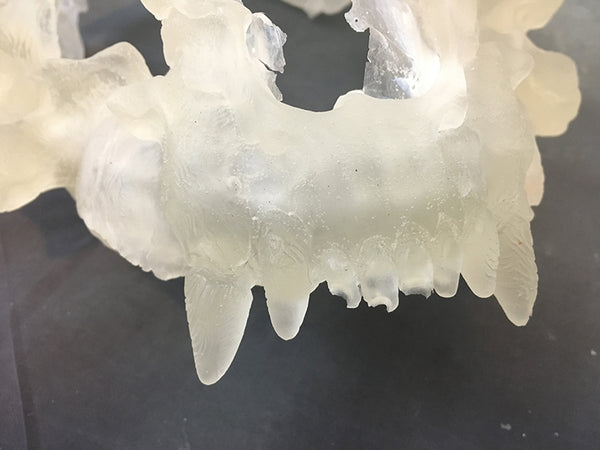 FATALIS HELM BLANK-CLEAR CAST