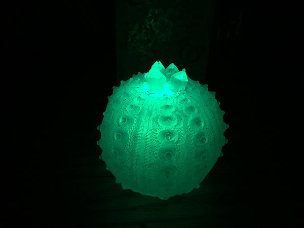 CAST URCHIN LIGHT