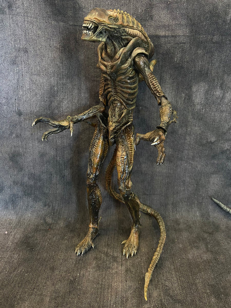 HOT TOYS ALIENS WARRIOR 1/6 FIGURE