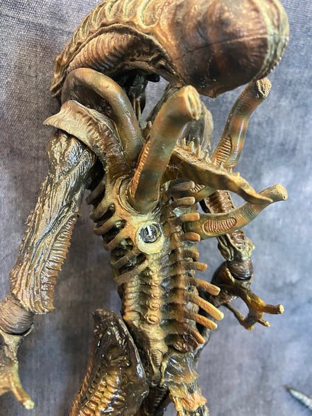 HOT TOYS ALIENS WARRIOR 1/6 FIGURE