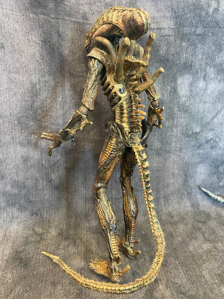HOT TOYS ALIENS WARRIOR 1/6 FIGURE