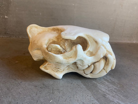 CUSTOM LISTING- WHITE SKULL LIGHT