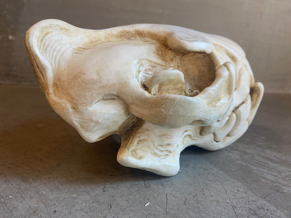 CUSTOM LISTING- WHITE SKULL LIGHT