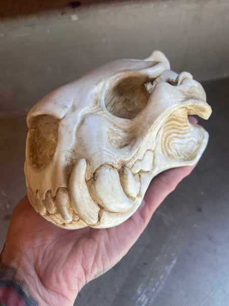 CUSTOM LISTING- WHITE SKULL LIGHT