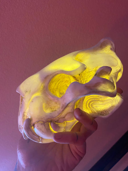 CUSTOM LISTING- WHITE SKULL LIGHT