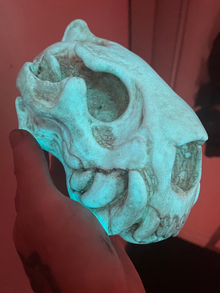 CUSTOM LISTING- WHITE SKULL LIGHT