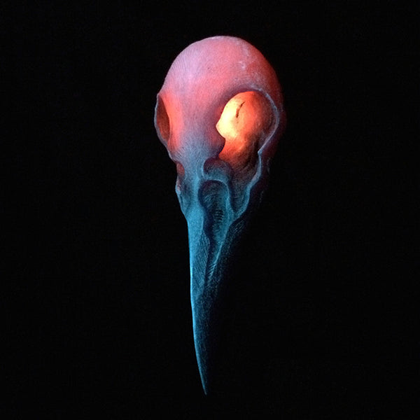 CROW SKULL SCONCE LIGHT