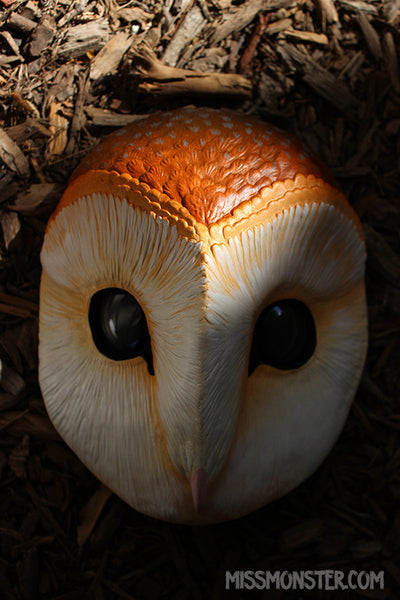 BARN OWL MASK- PAINTED AND FINISHED