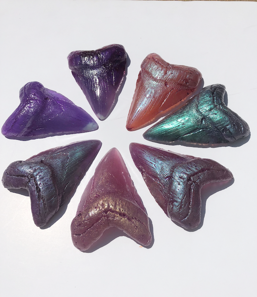 MEGALODON CAST SHARK TOOTH- CUSTOM ORDER