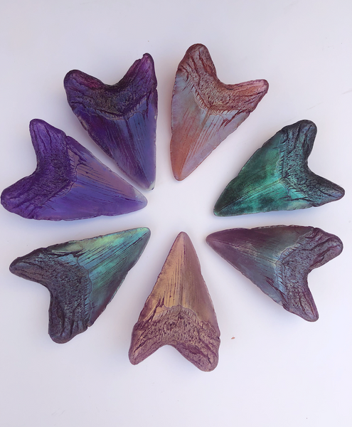 MEGALODON CAST SHARK TOOTH- CUSTOM ORDER