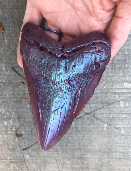 MEGALODON CAST GLOW SHARK TOOTH