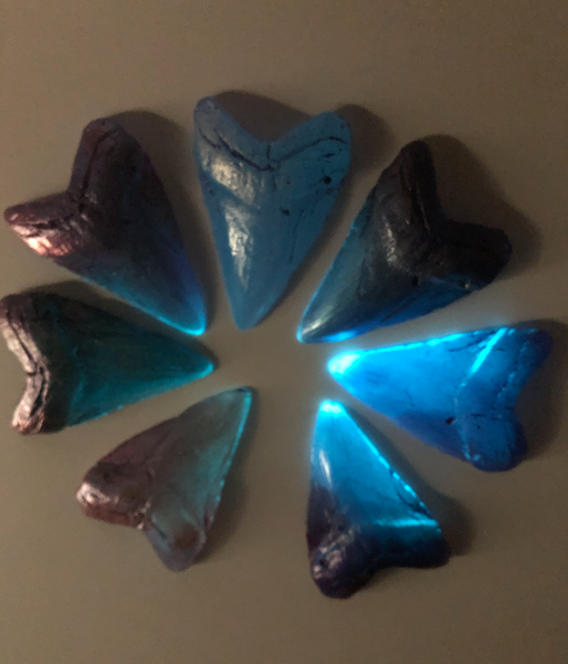 MEGALODON CAST SHARK TOOTH- CUSTOM ORDER