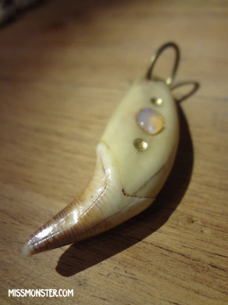 ANTIQUE BEAR TOOTH + OPAL PENDANT