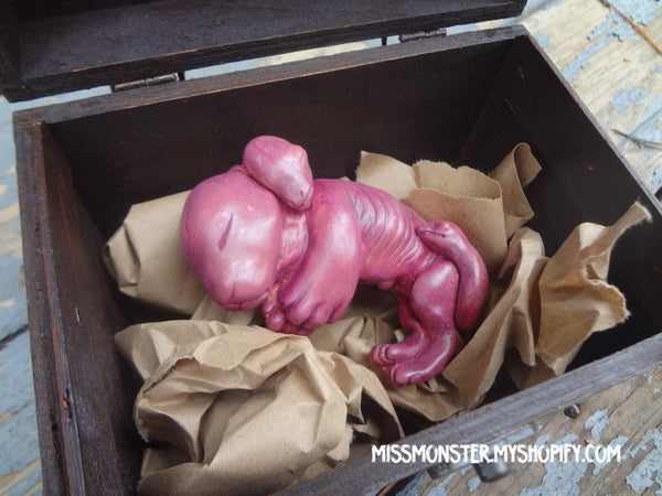 CHIMERA FETUS CASTS WITH BOX