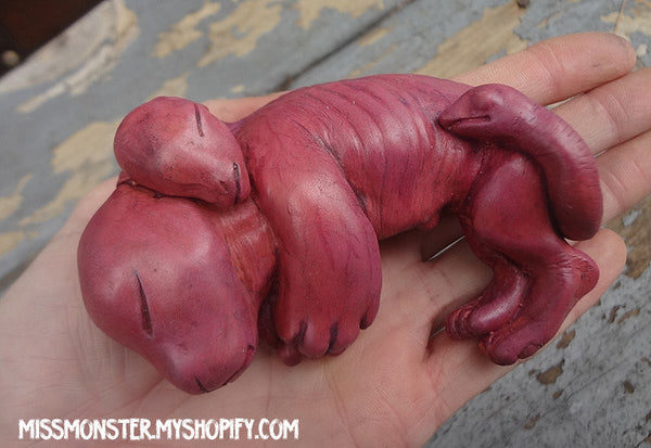 CHIMERA FETUS CASTS WITH BOX