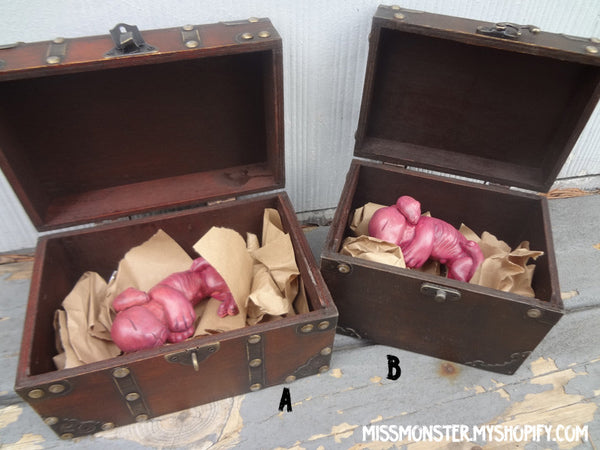 CHIMERA FETUS CASTS WITH BOX